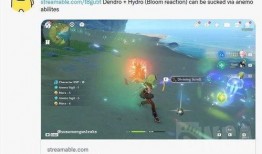 原神最新爆料实机图,探索神秘新世界，视觉盛宴即将开启！