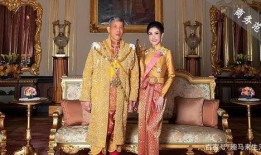 安德鲁最新爆料贵妃视频,贵妃视频背后的惊人真相