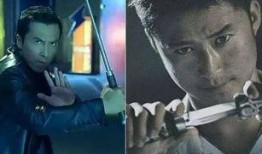 甄子丹爆料视频,揭秘武术电影背后的真实故事