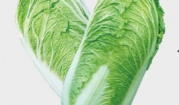 吉林大白菜爆料视频大全,揭秘田间地头新鲜事