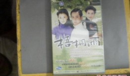 梧桐雨电视剧在线观看,穿越时空的悲欢离合