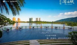 惠州大亚湾最新爆料,揭秘神秘项目与未来发展规划