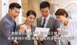 新职员在线观看,职场新人挑战与成长的精彩篇章