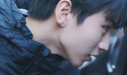 王俊凯爆料罗晋视频大全,视频大全带你领略明星魅力