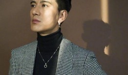 真实爆料刘畊宏被骂视频,真相与争议全解析