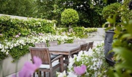 家庭花园爆料视频在线,跟随视频探索绿色生活奥秘